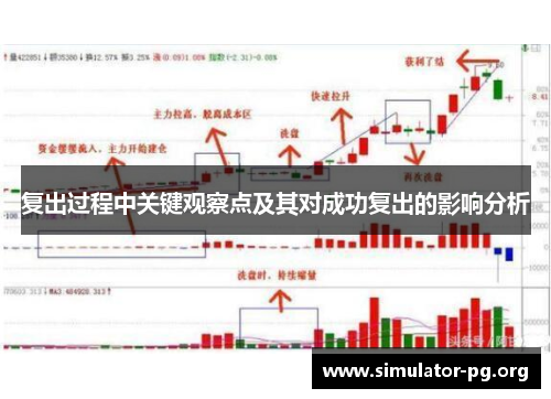 复出过程中关键观察点及其对成功复出的影响分析